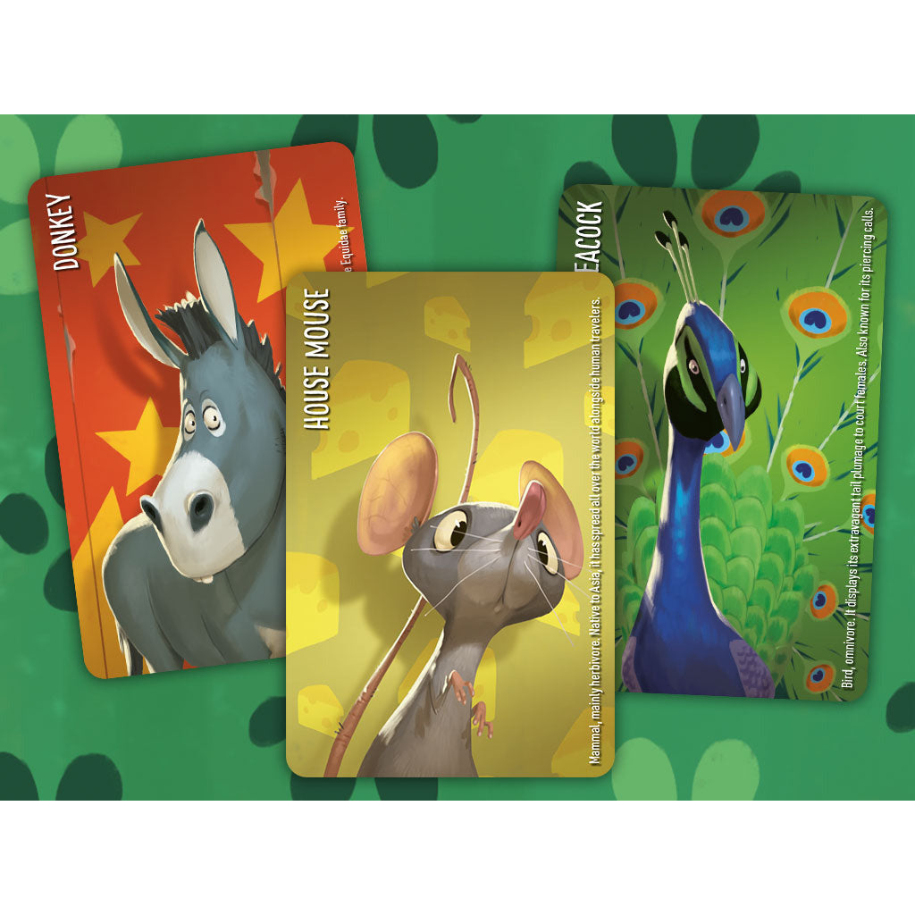 Similo animals toy soup