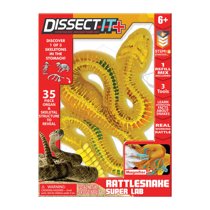 Dissect It - Rattlesnake – Toy Soup