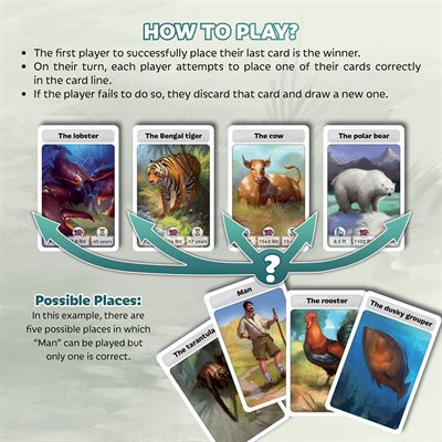 Cardline - Animals – Toy Soup