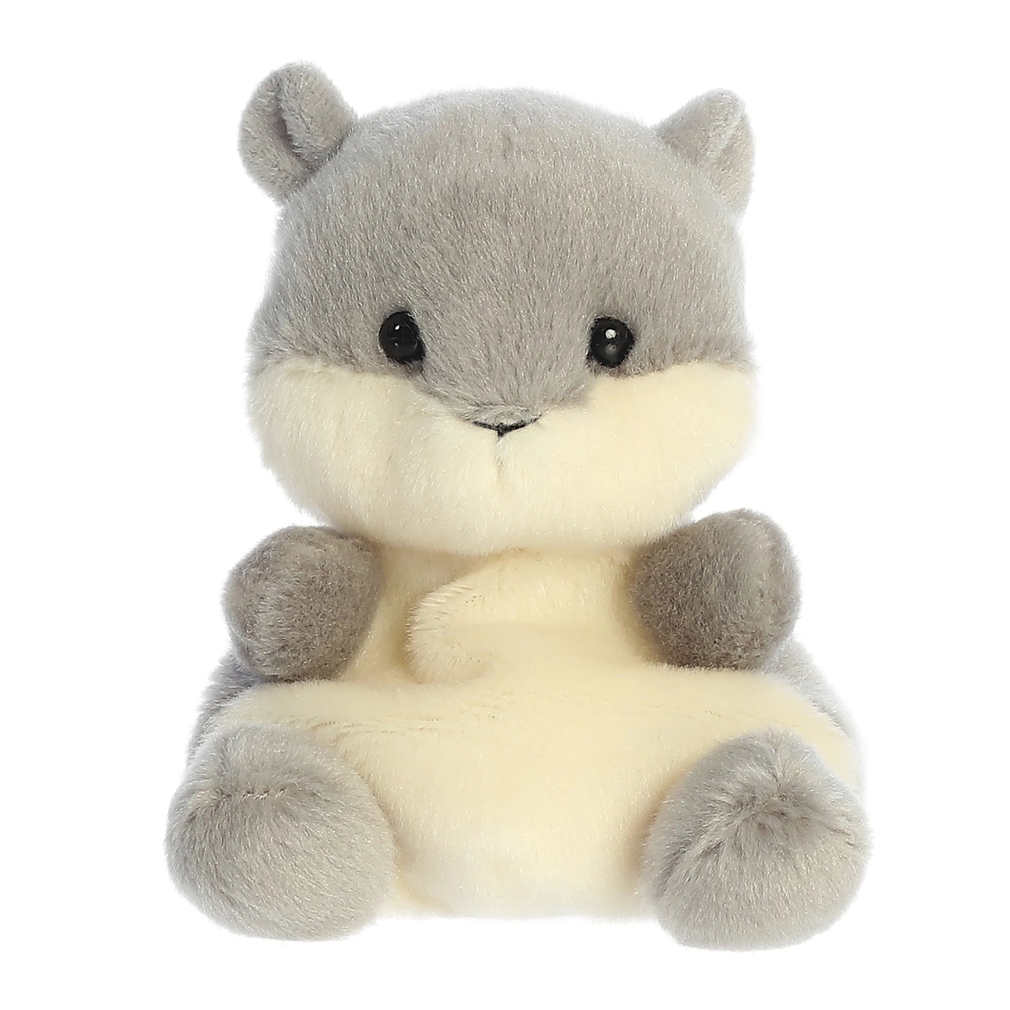 ppgussquirrel4_2048x.webp?v=